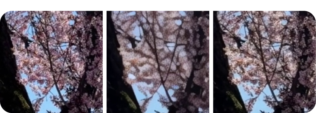 VAE Compression Comparison